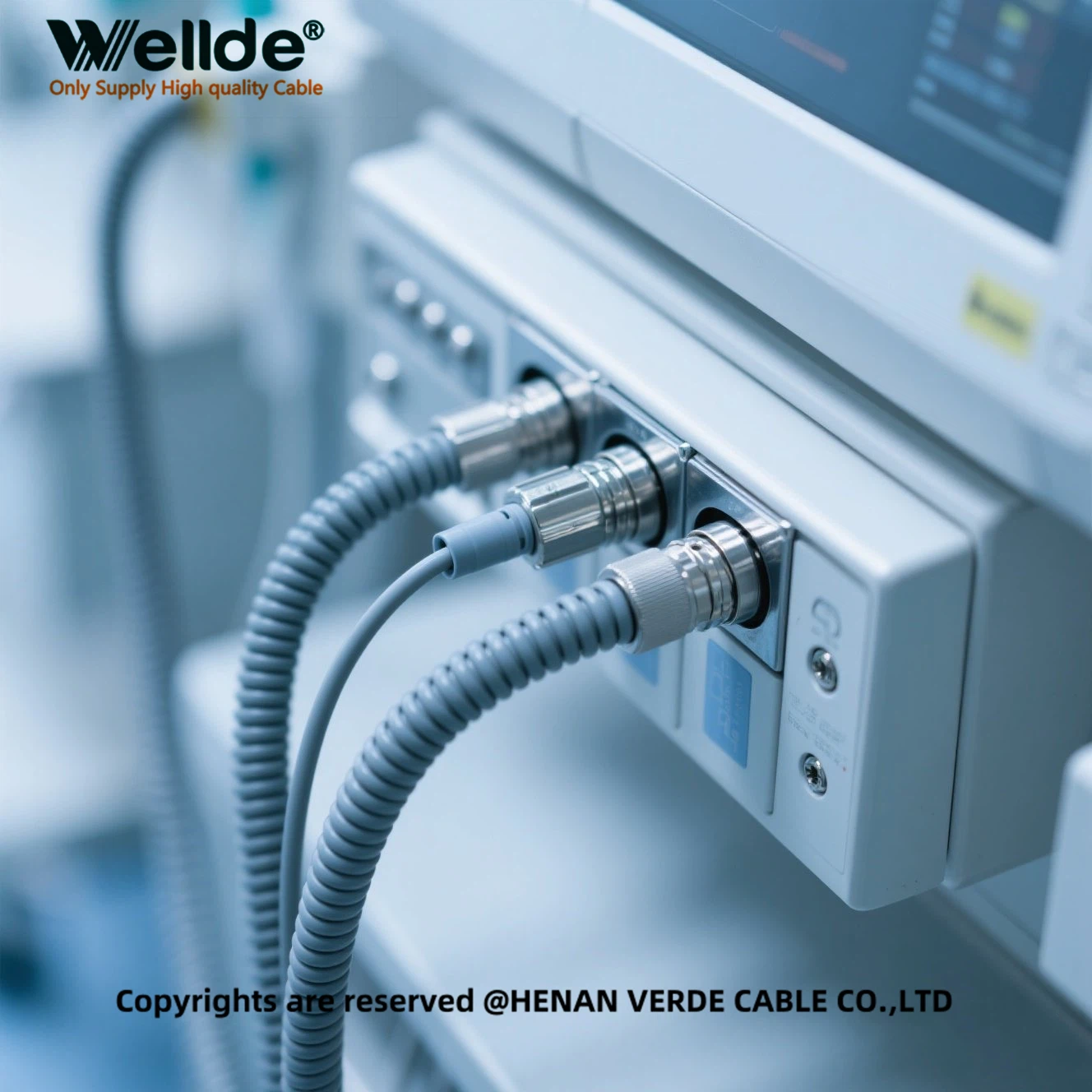 product-1328-1328 product-1328-1328